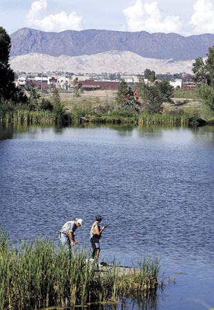 WW_FISHING