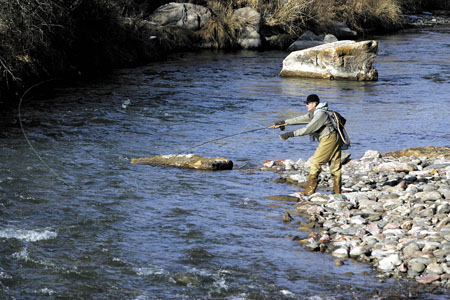 WW_FLY FISHING 1