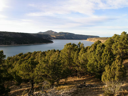 ridgwayresivoir