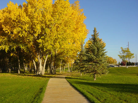 Park in Fall